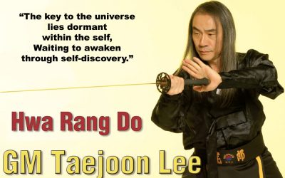 Grandmaster Taejoon Lee’s Interview by Budo International Part 3&4 (Different aspects of Hwa Rang Do®)
